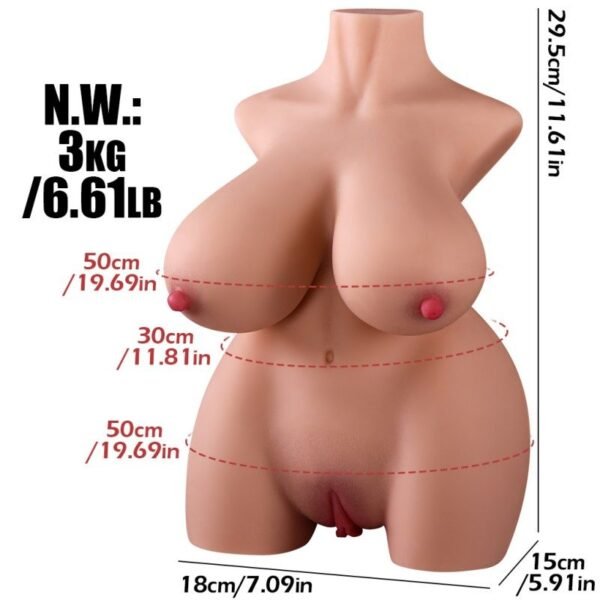 KY19-Flexible Curvy Torso Doll